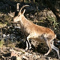 SPANJE 2011 - 434